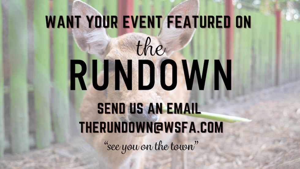 The Rundown: Roars, Rides, and a Little Pixie Dust