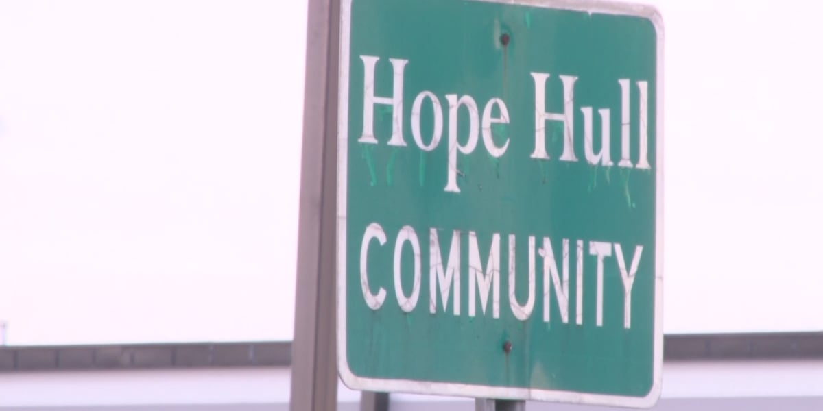 ‘I don't need regulations': Hope Hull residents continue to push incorporation ahead of vote next month