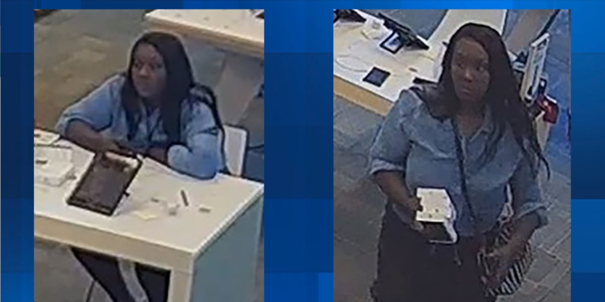 Woman wanted for theft at Opelika AT&T store