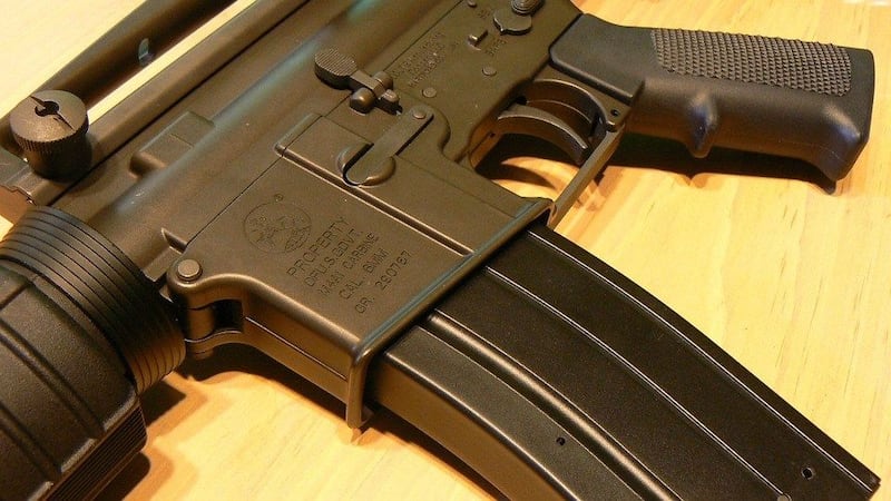 Lawmaker said the state should raise minimum age to buy AR-15 (Source: Pixabay)