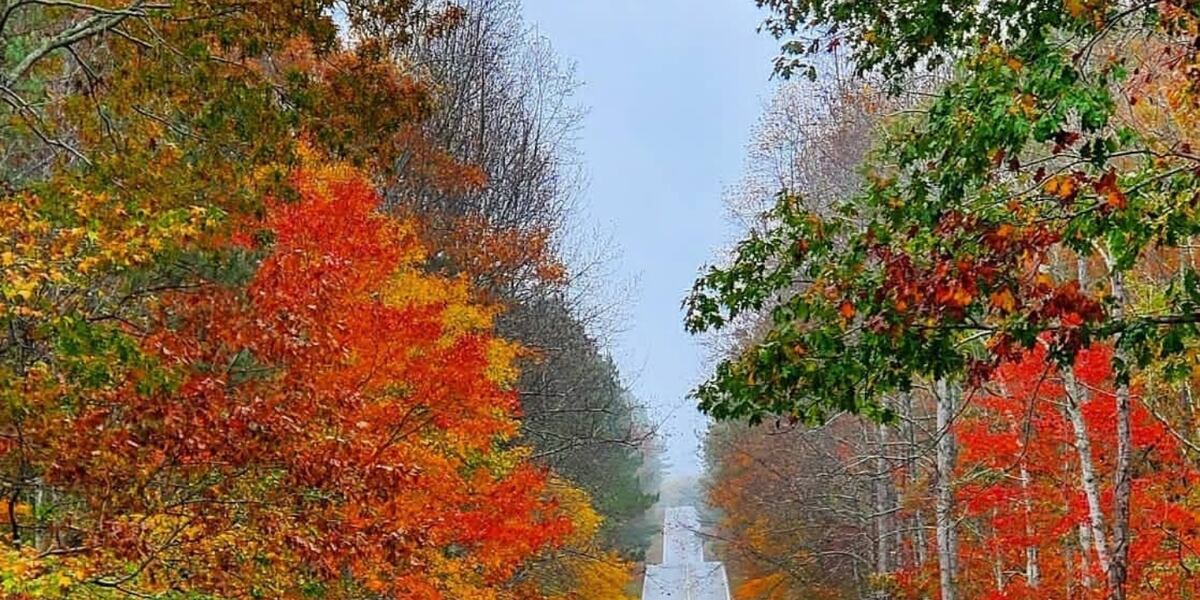 When and where to see the best fall color in Alabama