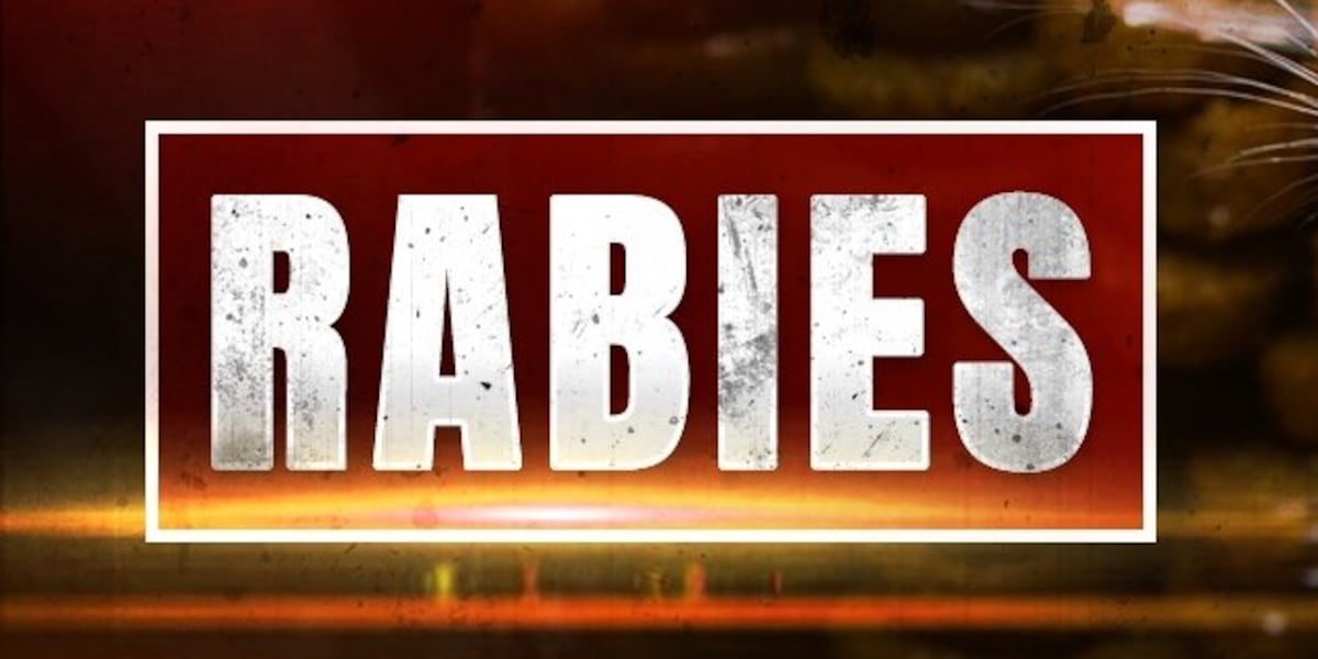 Wild animal tests positive for rabies after Tallassee attack