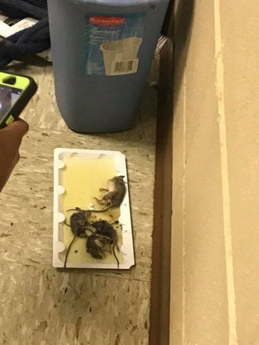 (Source: WSFA 12 News viewer)
