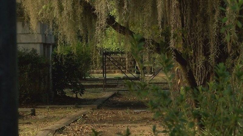 14-year-old charged in possible gang recruitment shooting at Selma