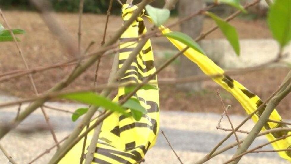 (Source: WSFA 12 News)