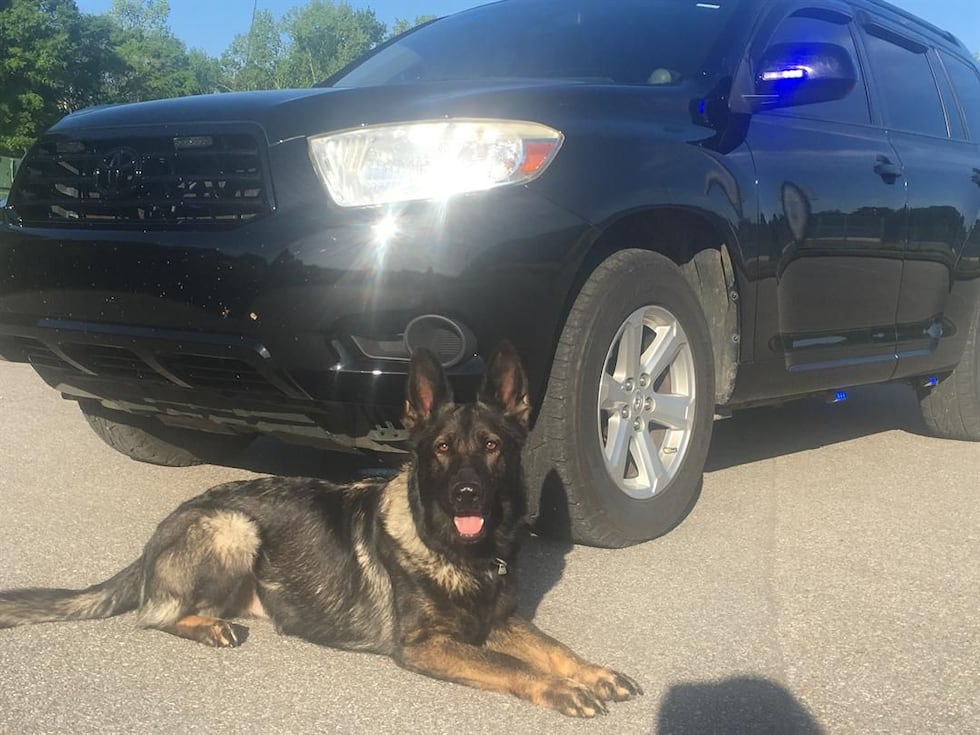 Keela in front of the police unit. (Source: Officer Saint)