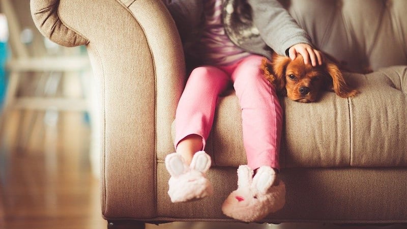 More pets are lost on the fourth than any other day (Source: Pixabay images)