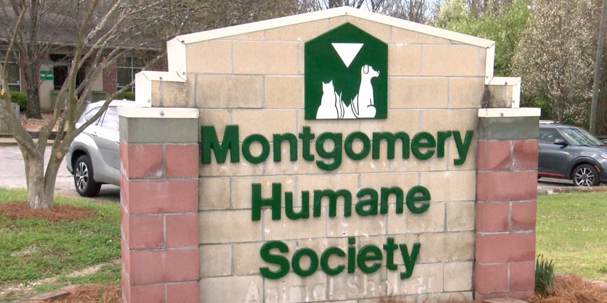 Montgomery Humane Shelter encourages adoption in honor of National Dog Day