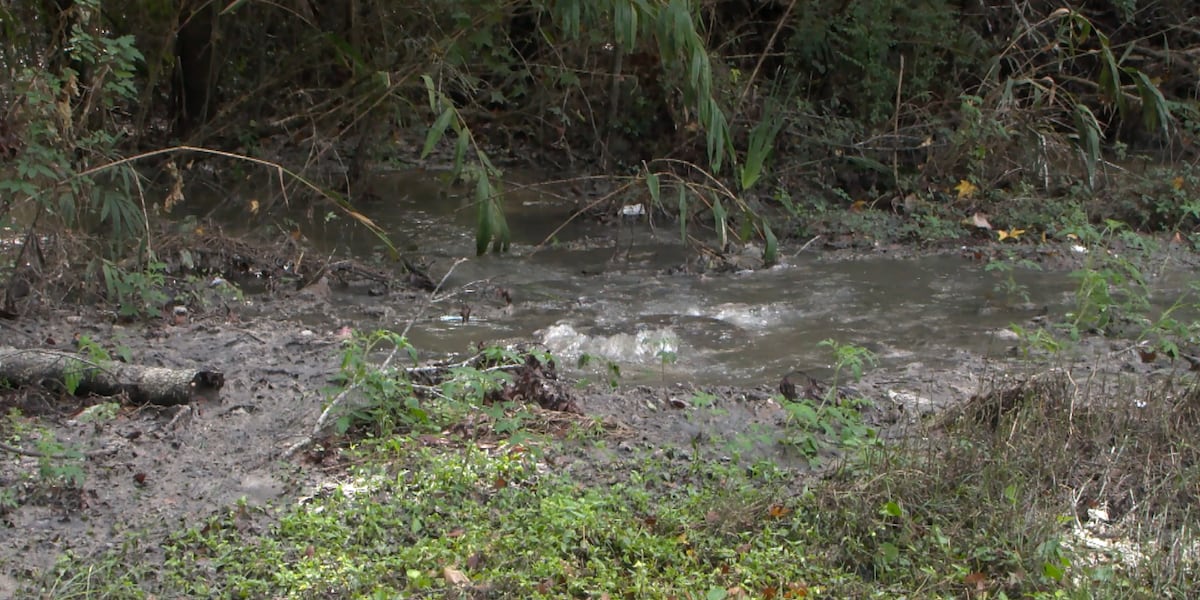 Dallas County residents say years-long sewage problem continues despite complaints