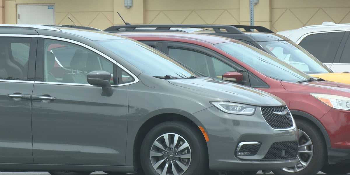 10 things you should never leave in a hot car as Alabama temperatures climb