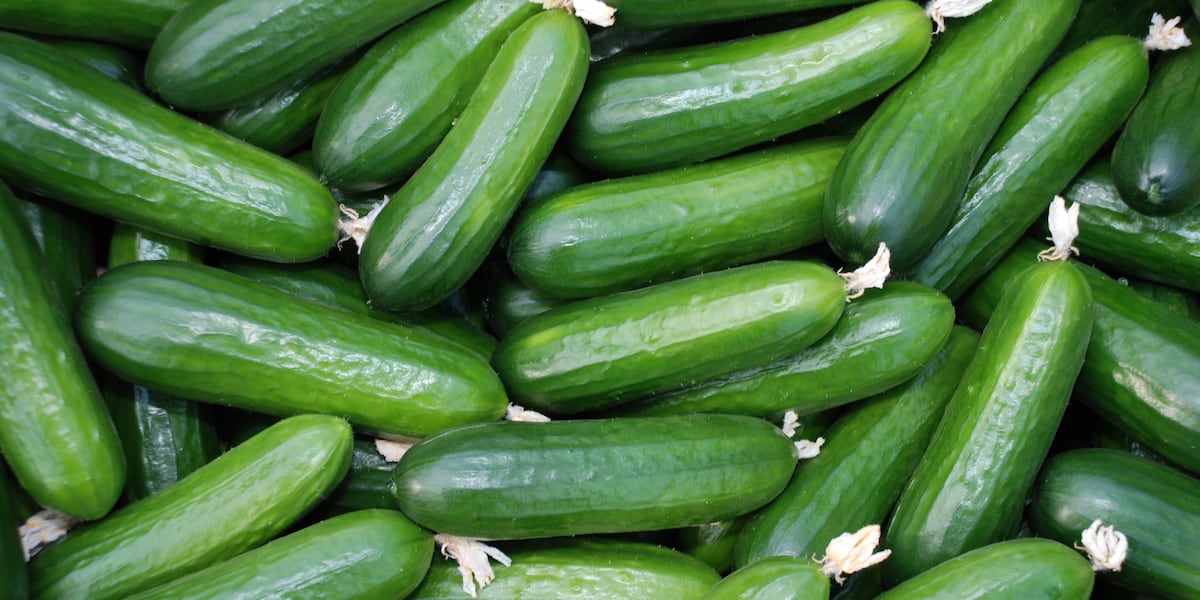 Feed your family without heating up the kitchen in late summer