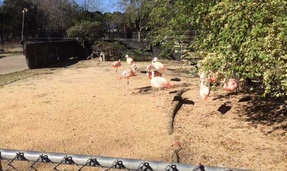 (Source: WSFA 12 News File Photo)