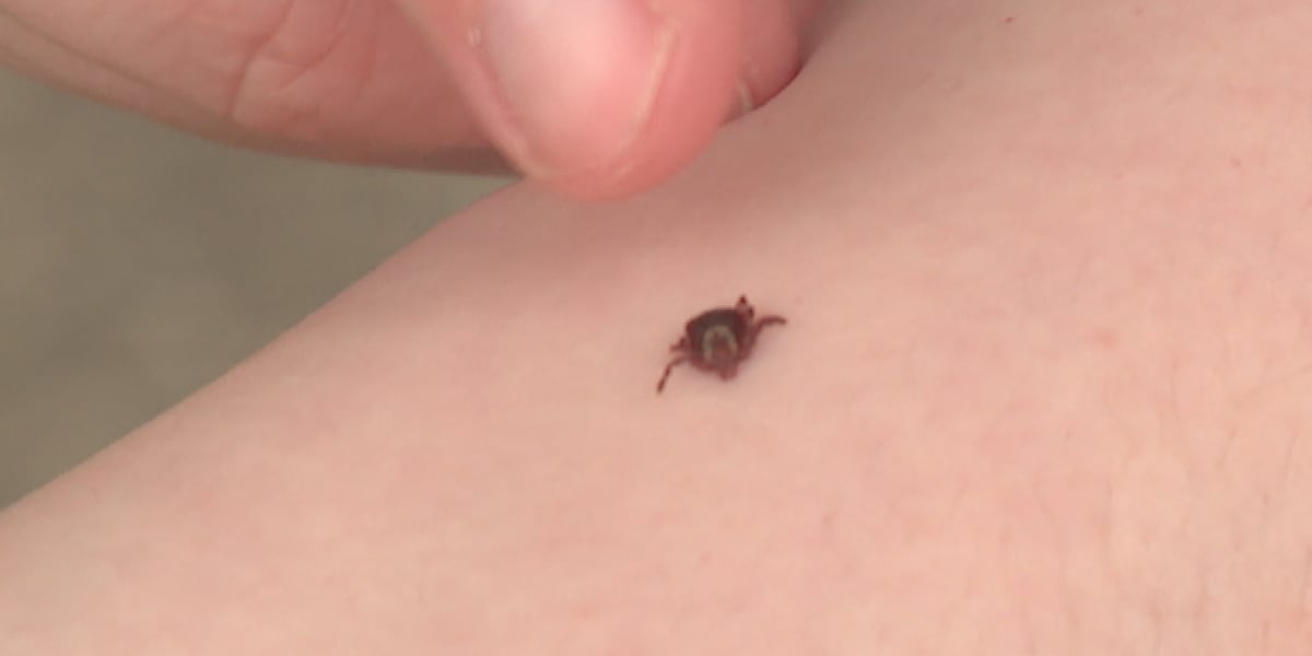 Tick season is raising alarms in 2026. What Alabama pet owners should know