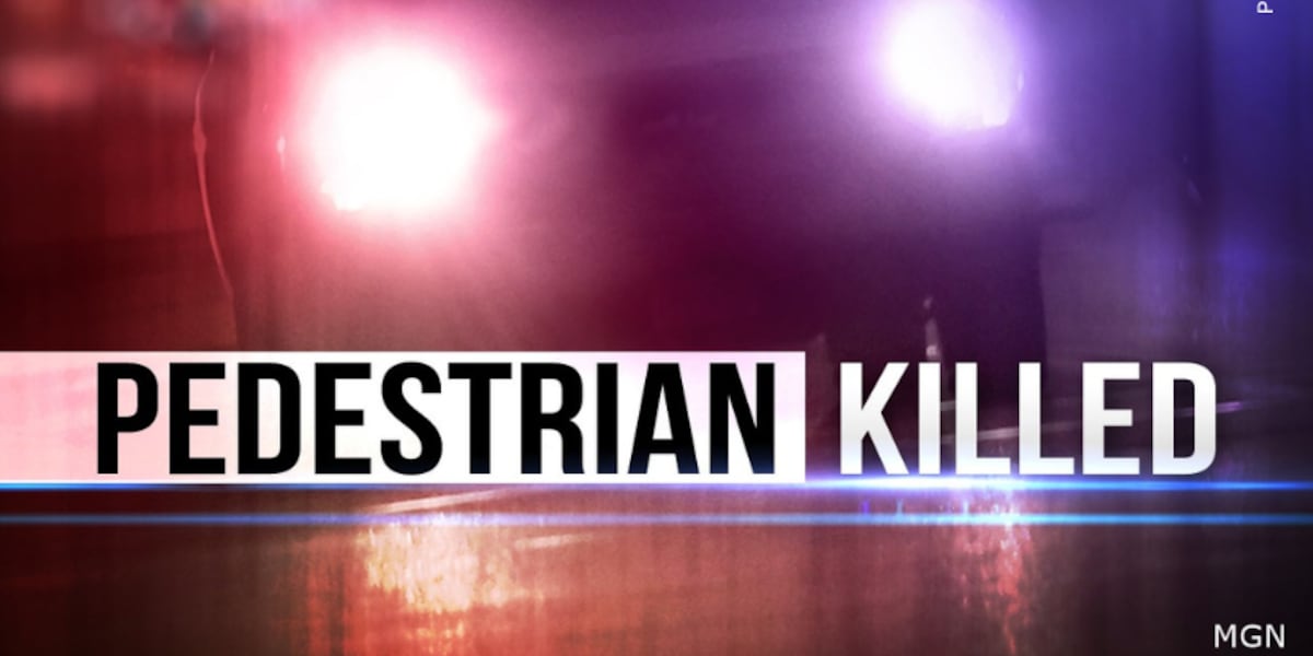 86-year-old Georgia man dies after being hit by 2 vehicles in Lee County