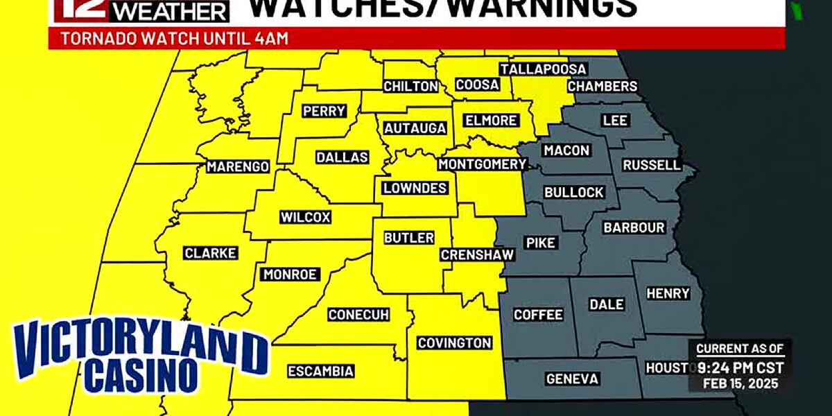 🆕 TORNADO WATCH issued for the majority of Alabama... Amanda has an hour-by-hour look ahead!