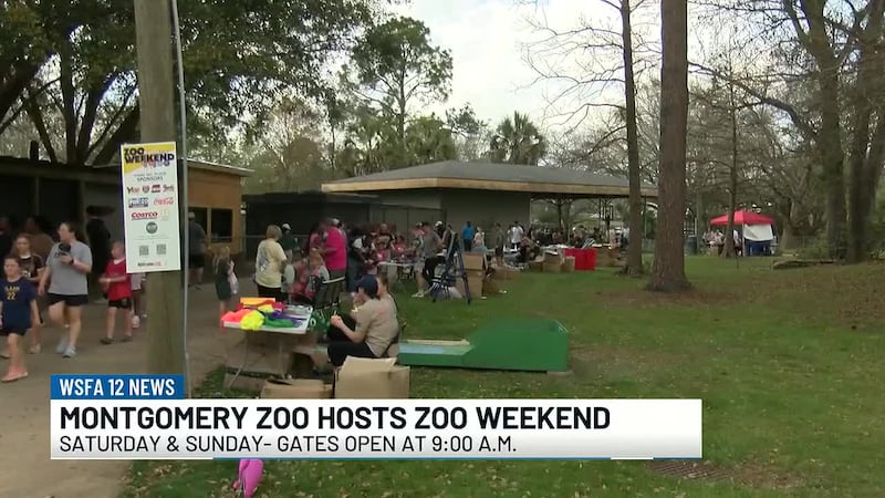 Families filed in for a Spring fundraiser filled with live music, bounce houses, and up-close...